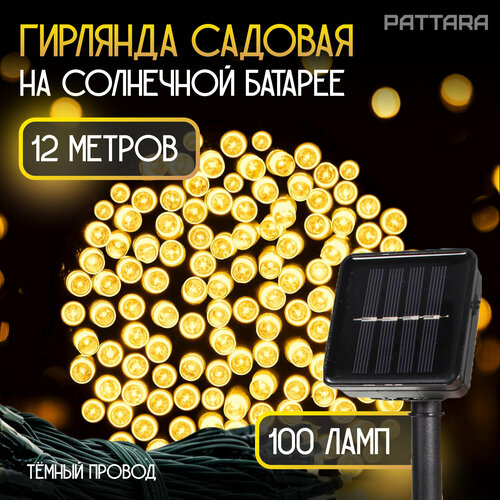 ���� ������� ������� �������� �� ��������� ������� 12 �, ������ ����������� ������, ������ �� 600 ���