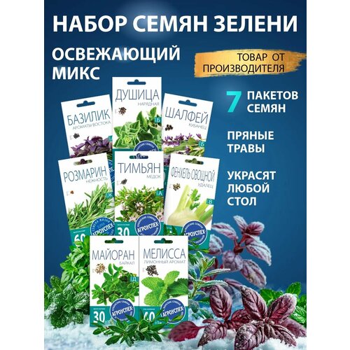 ���� ������ ��������� ������ 8 ������, ������ �� 383 ���