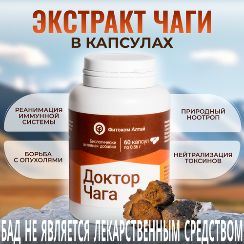 ���� ������ ����, �������� ���� � ��������, ���, 60 ����, ������� �����, ������ �� 465 ���