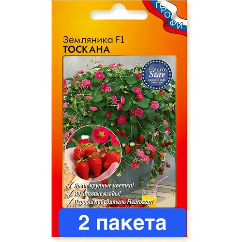 ���� ������ ������ ������� ������ 