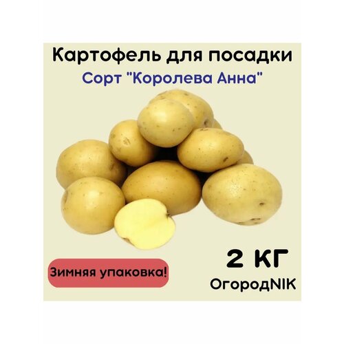 ���� ��������� �������� 