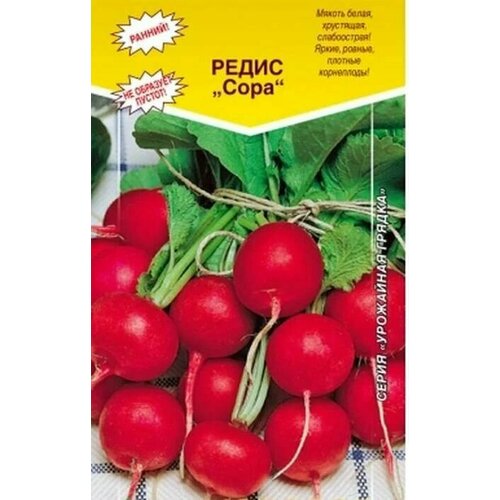 ���� ������������� ������ ������ ����, ������ �� 104 ���