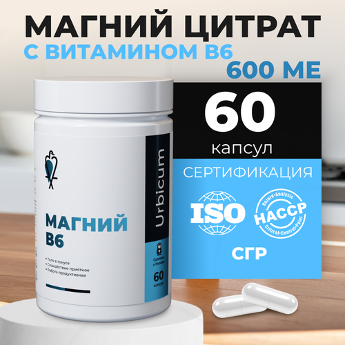 ���� ������ ������ � ��������� �6 Urbicum 600 �� � ��������, ������ �� 595 ���