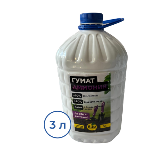 ���� ����� ������� 3 � ���-��������, ������ �� 444 ���