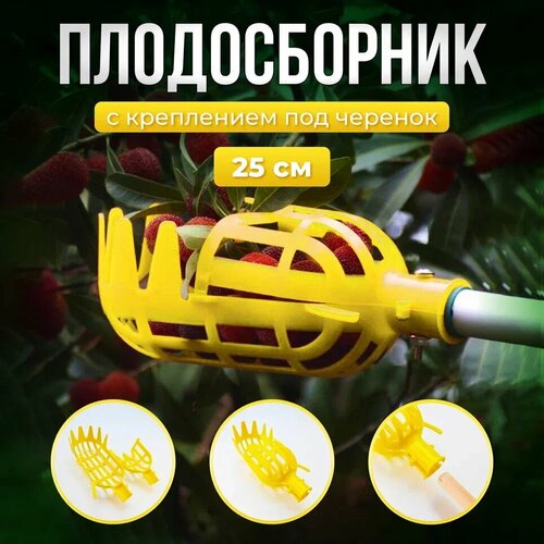 ���� ������������ ��� �������: �����, ����, �����, �����, ���������. ������������ ����������� 25�� (�����), ������ �� 579 ���