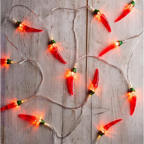 ���� �������� ���� 