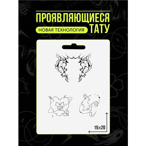 ���� ���� ���������� �������������� ��������, ������ �� 433 ���