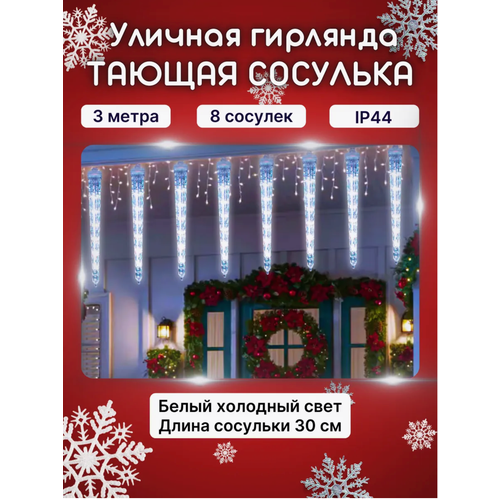 ���� ������� �������� 