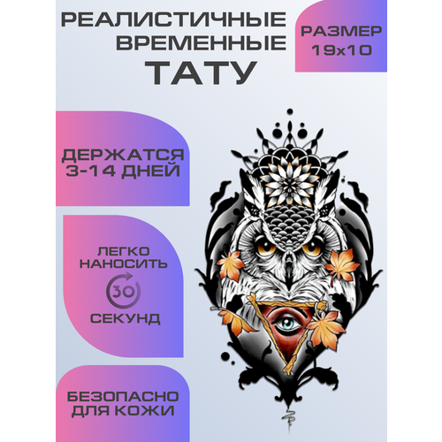 ���� ���� ���������� ��������������, ��������� ���� ����, ������ �� 399 ���