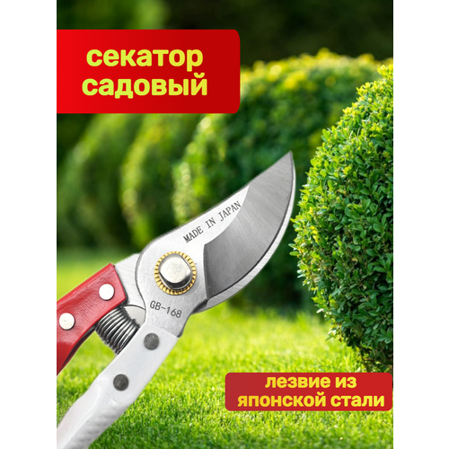 ���� ������� ������� ������������� �� �������� ����� 1 ��., ������ �� 650 ���