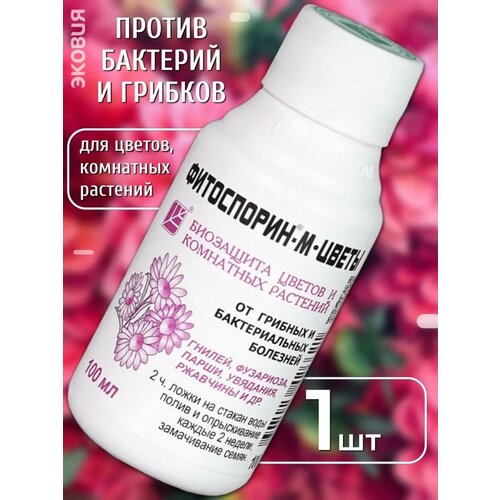 ���� ���������� ��������� ��������� ����� �� �������� � ������, ������ �� 185 ���