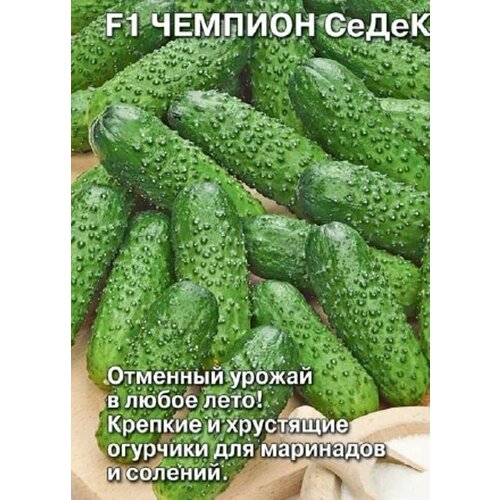 ���� ������������� ������ ������ F1 ������� �����, ������ �� 104 ���