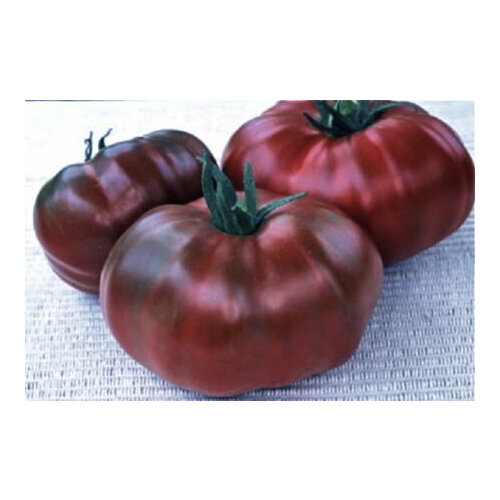 ���� ������������� ������ ������ ������� ���������� � ׸���� ��������, ������ �� 127 ���