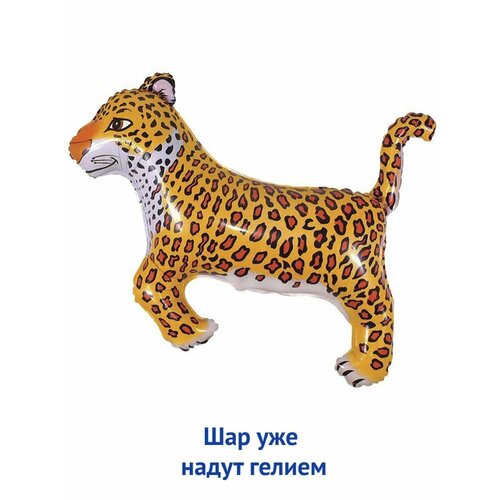 ���� ��������� ��� � ������ �������������� ������ �������, ������ �� 800 ���