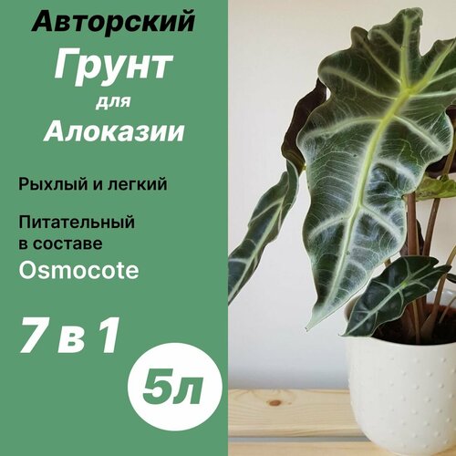 ���� ����� ��� �������� 5� / �������, ������ �� 640 ���