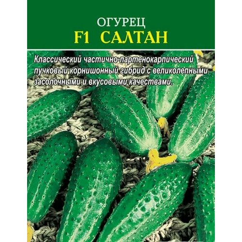 ���� ������������� ������ ������ F1 ������, ������ �� 127 ���