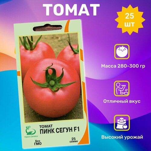 ���� ������ ������ ���� ����� F1 25��. ���������� ��������, ������ �� 584 ���