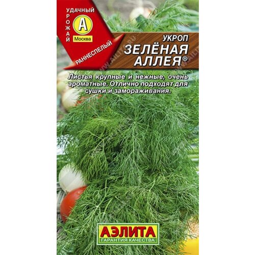 ���� ������ ����� ������� ����� 3� ������ (������), ������ �� 44 ���