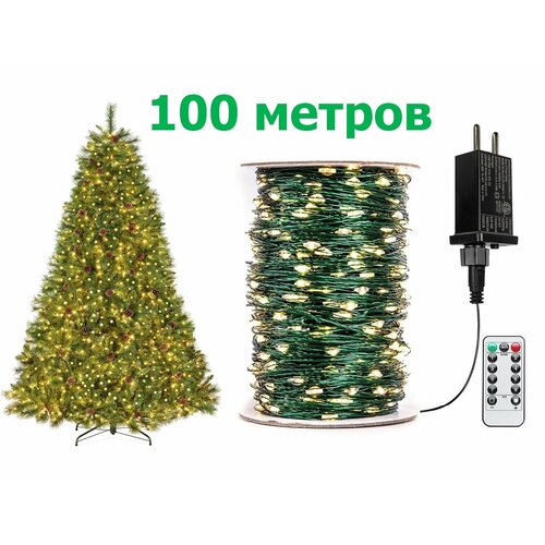 ���� ��������������� ���� ������������ ���� ������� 100 �. ��� ��������, ���� Ҹ���� ����� (������ ������), ������ �� 2555 ���