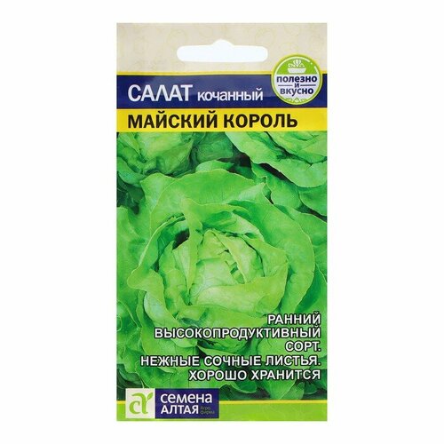 ���� ������ ����� 