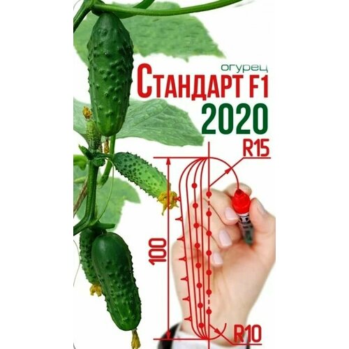 ���� ������������� ������ ������ �������� F1, ������ �� 127 ���