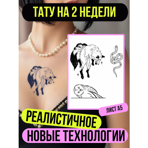 ���� ���� ���������� �������������� ��������, ������ �� 450 ���