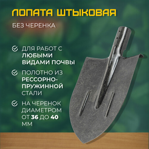 ���� ������ �������� ��� �������, ������ �� 350 ���