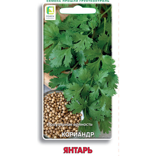 ���� ������ ����� �������� ������ 3 �, ������ �� 61 ���