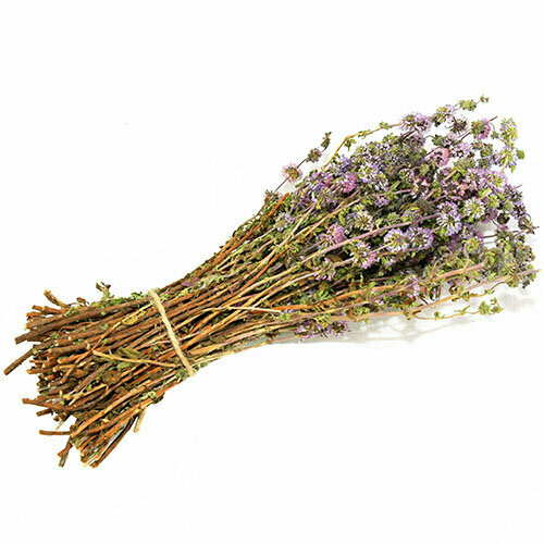 ���� ����� �������� �� ���� ������, ������ �� 489 ���