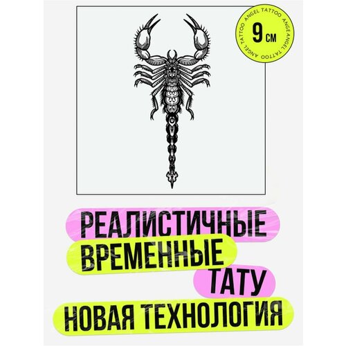 ���� ���� ���������� �������������� �������� ��������, ������ �� 450 ���