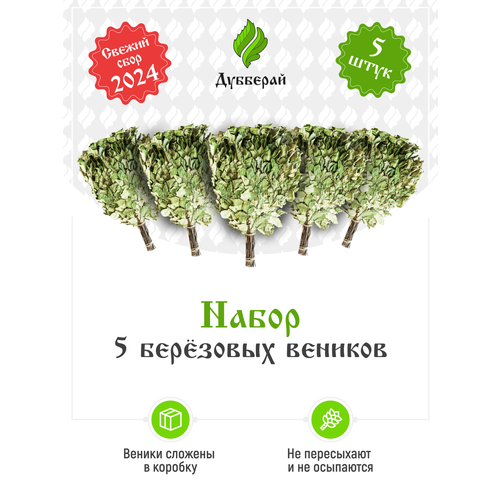 ���� ����� ��� ���� �������� 5 ����, ������ �� 1600 ���