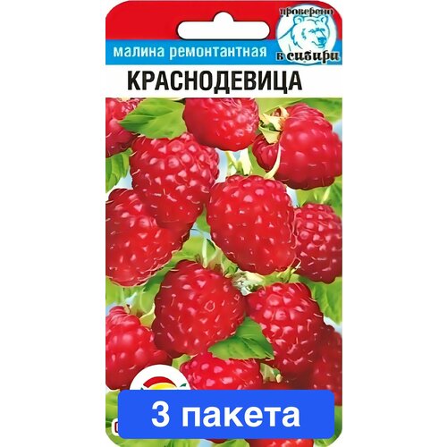 ���� ������ ������ ��������� ��� 