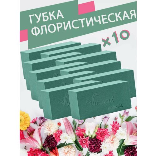 ���� ����� �������������� (������, ����), 23 � 11 � 7,5 ��, 10 ����, ������ �� 1796 ���