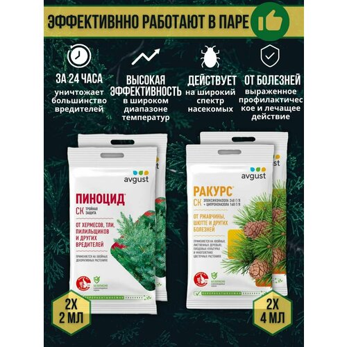 ���� �������� �� �������� � ���������� ������� �������� ������ 4 �� + ������� 2 ��, ����� 4 ��, ������ �� 549 ���