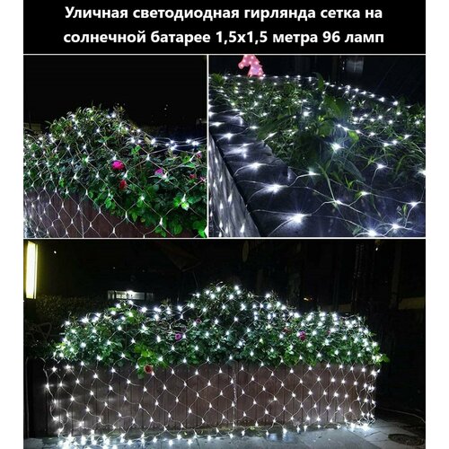 ���� ������������ �������� 96 ���� 1,5�1,5 �. � ����� ����� ����� �� ��������� ������� � �������, ������ �� 1900 ���