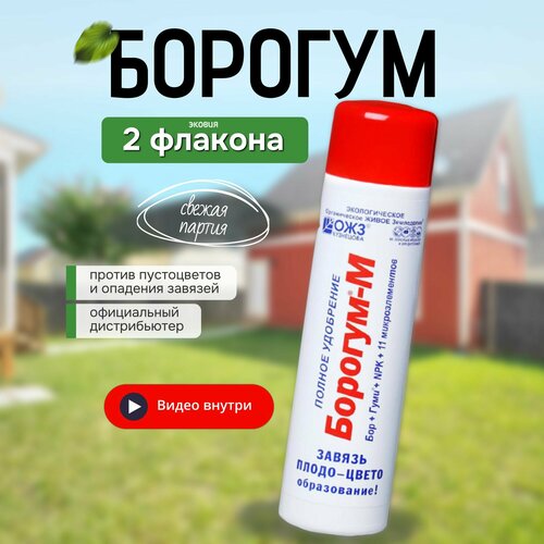 ���� ������� � ��������� ��� ����������� ������ 2 ��, ������ �� 311 ���