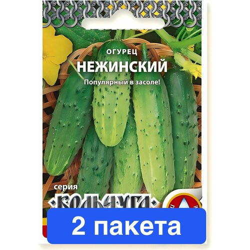 ���� ������ ������ ������� ������ 