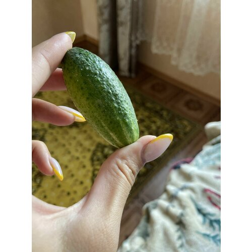 ���� ������������� ������ ������ ������� F1, ������ �� 104 ���