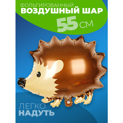 ���� ��� ���� ��������, ������ �� 283 ���