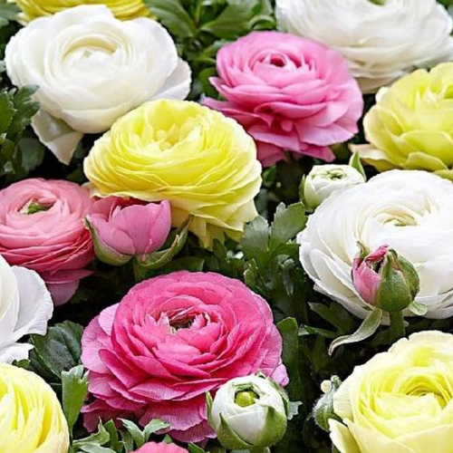 ���� ���������� ����� ������ (30 �������), ������ �� 906 ���