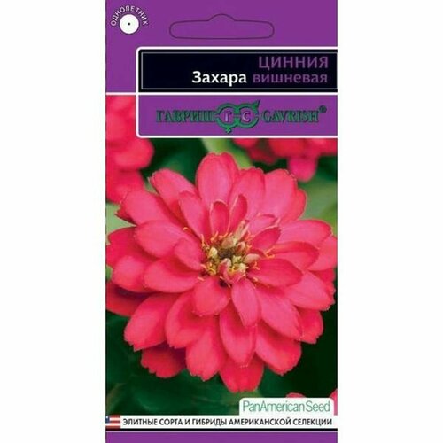 ���� ������ ������ ������ �������� (����������) (������) 6�� ���-�, ������ �� 90 ���