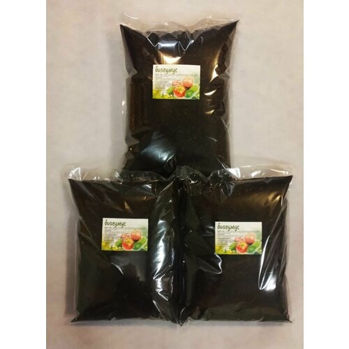 ���� ����� ��������� ������ ����������, ������ �� 480 ���