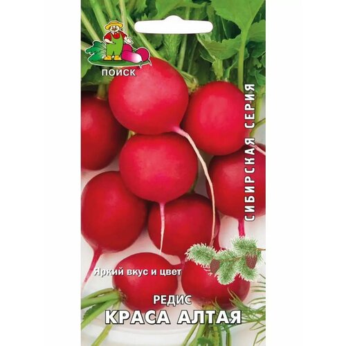 ���� ����� 