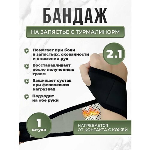 ���� ������������ ������ �������������� ������� LifeProOrto ��������������, ������ �� 504 ���