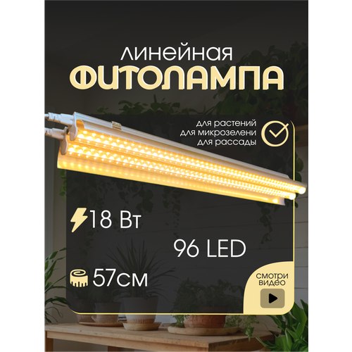         Led    ,   2000 