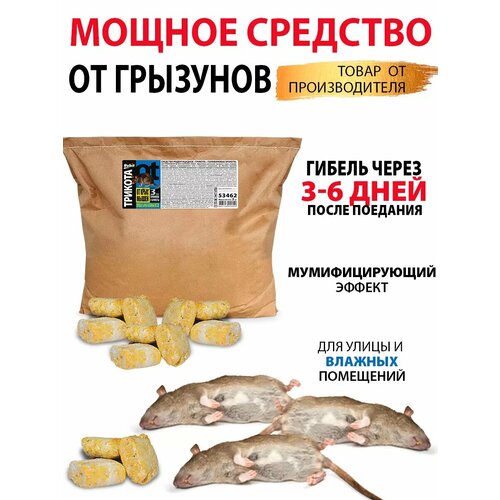 ���� ������ ��� ���� � ����� ����������� ������� 3 ��, ������ �� 1658 ���