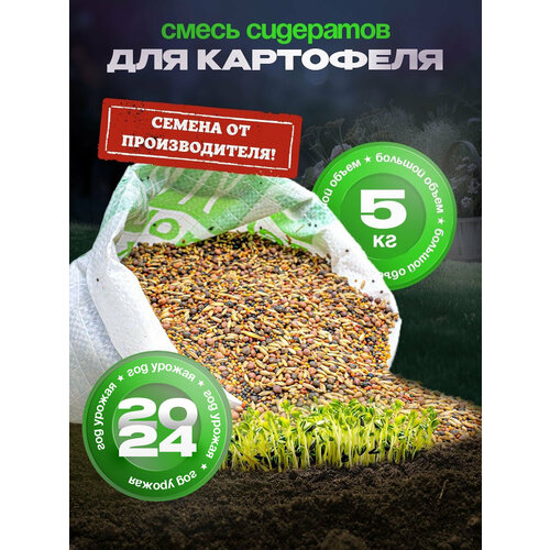 ���� ������ ��������� ������� ������, ����� ��� ���������, ���������� 5 ��, ������ �� 939 ���