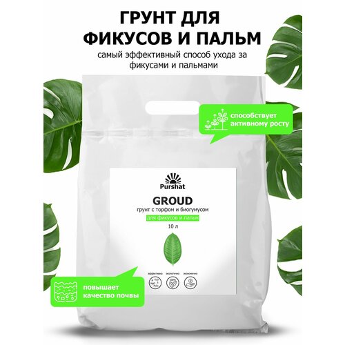 ���� ����� (�����) ��� ������� � ����� ������. � ������ � ���������� ��� ��������� ����� � �������������� �������� (Purshat) 10 �, ������ �� 1056 ���