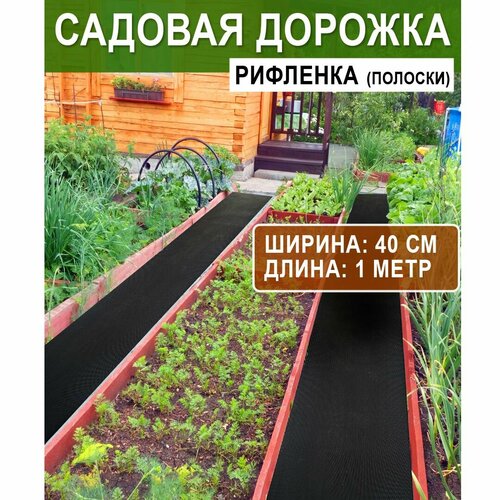 ���� ������� ������� ��������� 