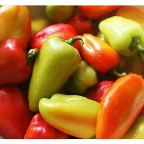 ���� ������������� ������ ����� �������� ��������, ������ �� 122 ���